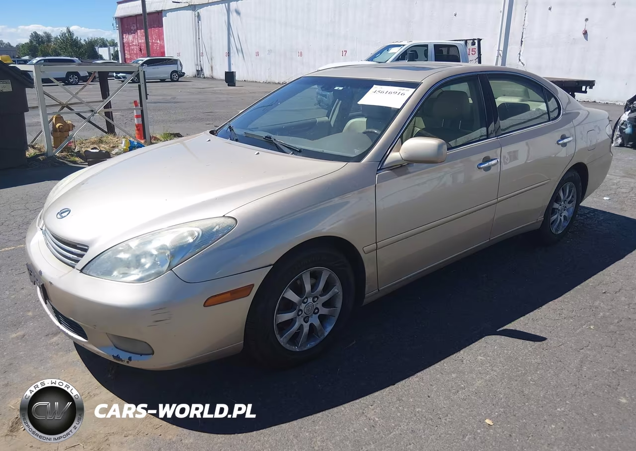 2004 Lexus Es 330 VIN:JTHBA30G645020197 - 2