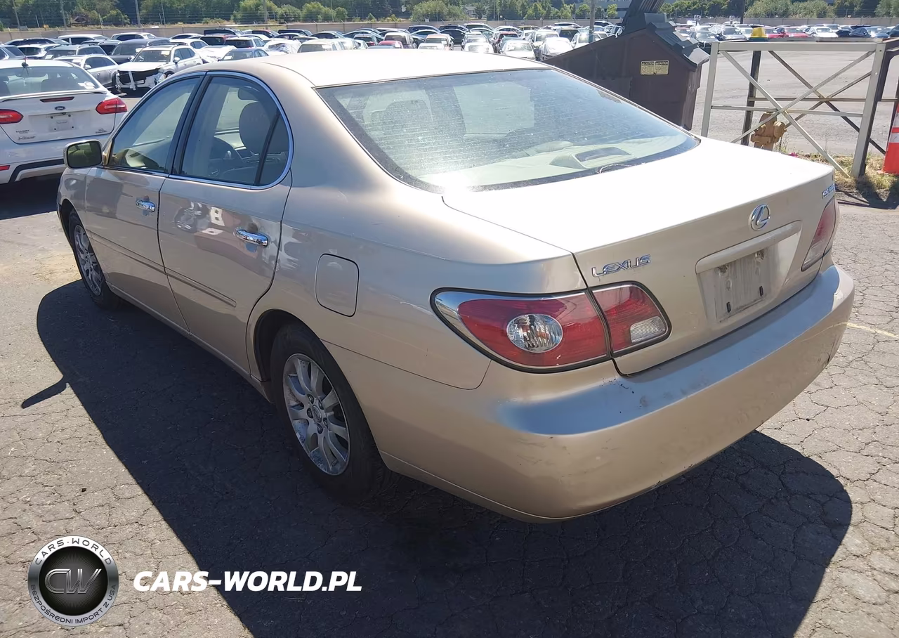 2004 Lexus Es 330 VIN:JTHBA30G645020197 - 3