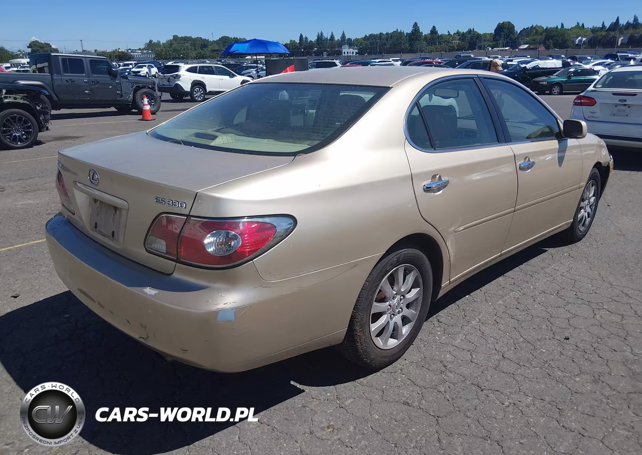 2004 Lexus Es 330 VIN:JTHBA30G645020197 - 4