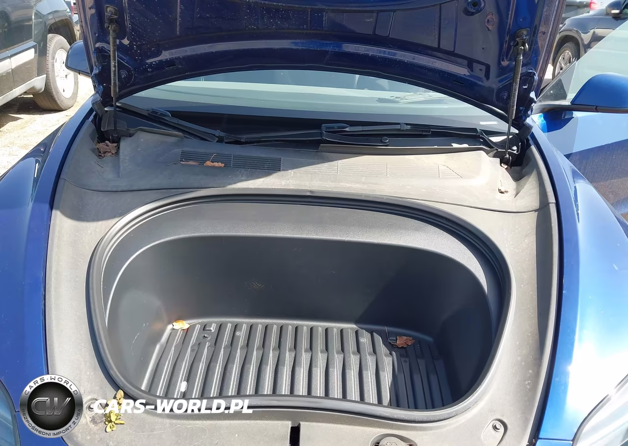 2025 Tesla Model 3 VIN:5YJ3E1EA9SF912250 - 10