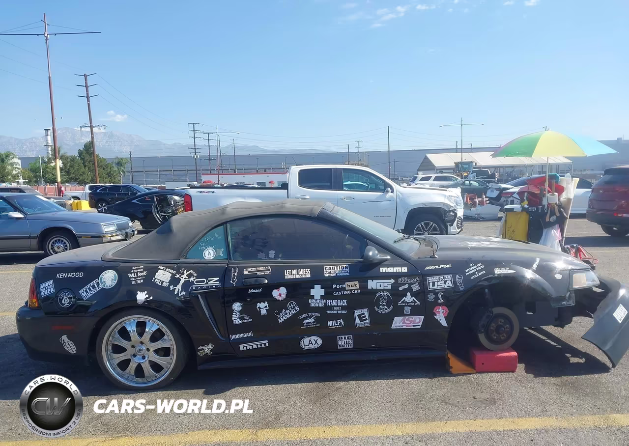 2001 Ford Mustang Cobra VIN:1FAFP46V41F191331 - 14