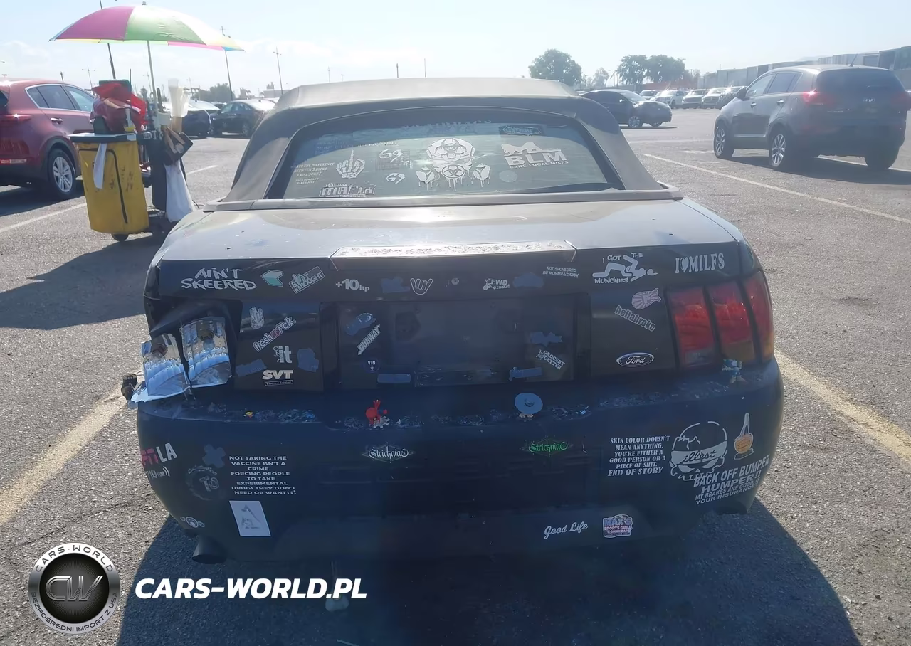 2001 Ford Mustang Cobra VIN:1FAFP46V41F191331 - 17
