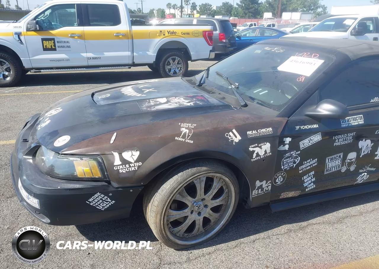 2001 Ford Mustang Cobra VIN:1FAFP46V41F191331 - 19