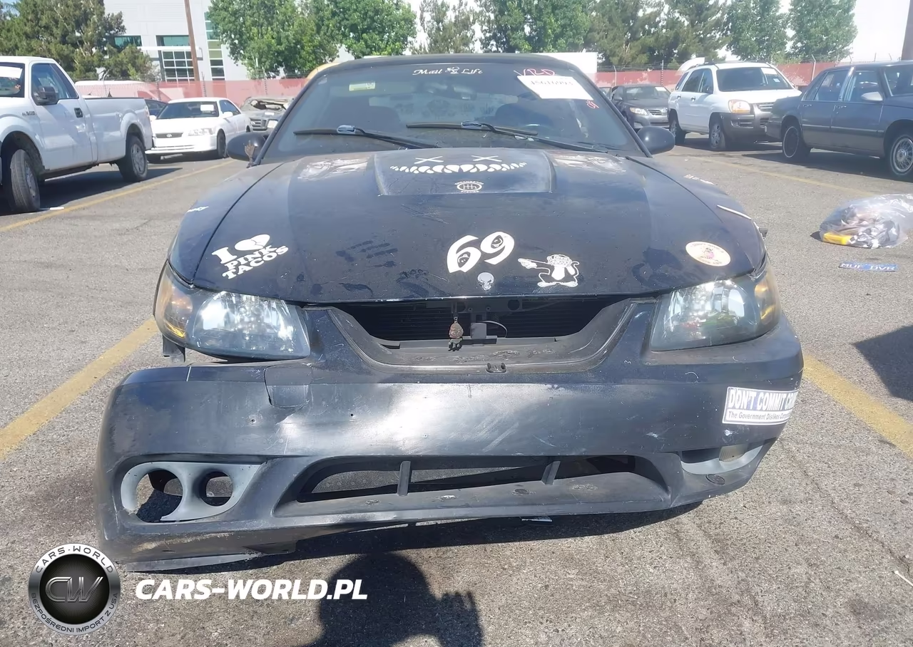2001 Ford Mustang Cobra VIN:1FAFP46V41F191331 - 6