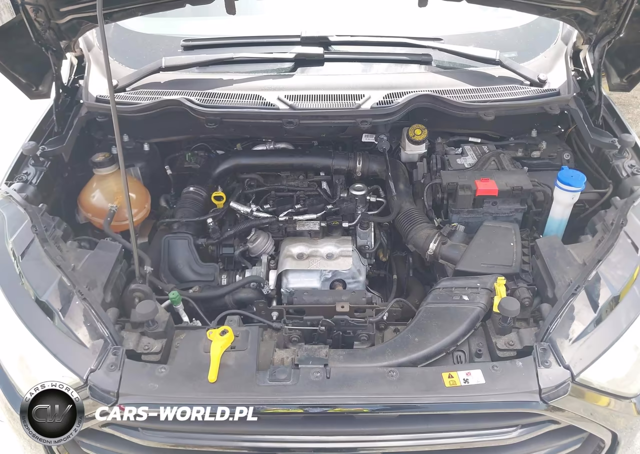 2018 Ford Ecosport S VIN:MAJ3P1RE8JC197891 - 10