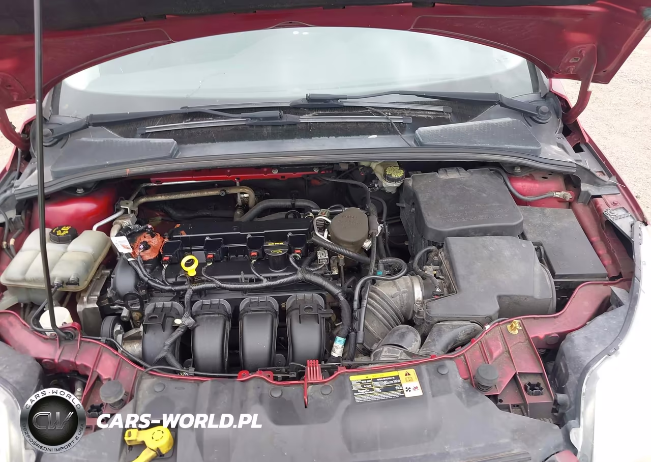 2014 Ford Focus Se VIN:1FADP3K22EL117734 - 10