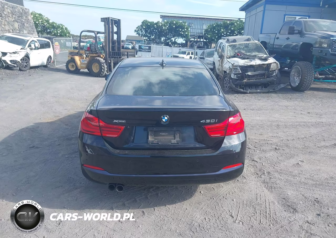 2018 BMW 430I xDrive VIN:WBA4W5C55JAA49162 - 16