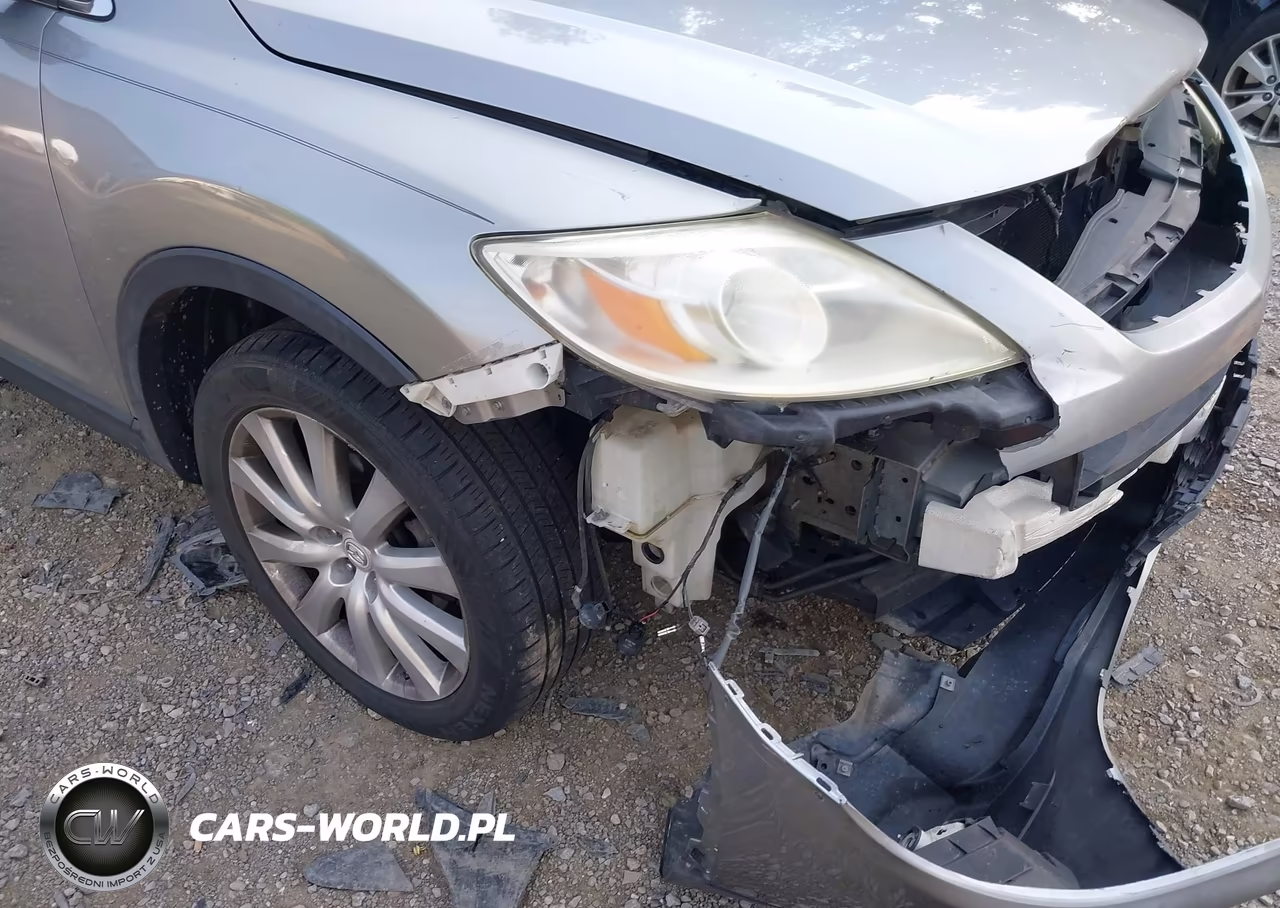 2010 Mazda Cx-9 Grand Touring VIN:JM3TB2MA7A0210044 - 6