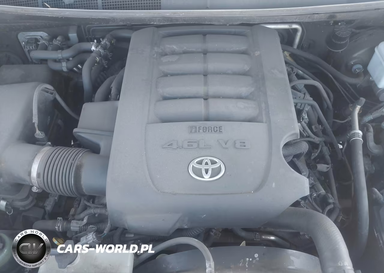 2011 Toyota Sequoia Sr5 4.6L V8 VIN:5TDZM5G17BS003193 - 10