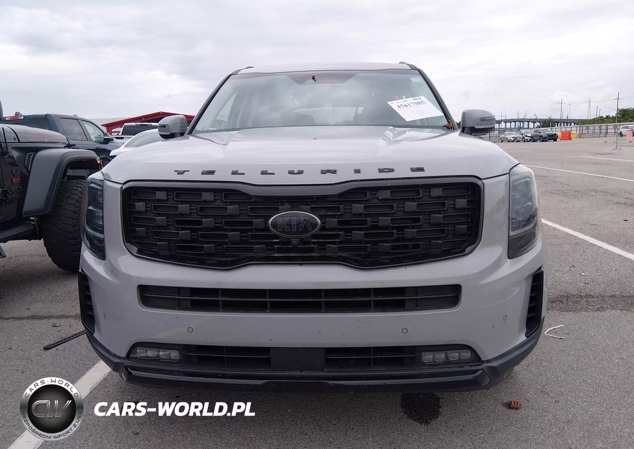 2021 Kia Telluride Sx VIN:5XYP5DHC6MG149776 - 12