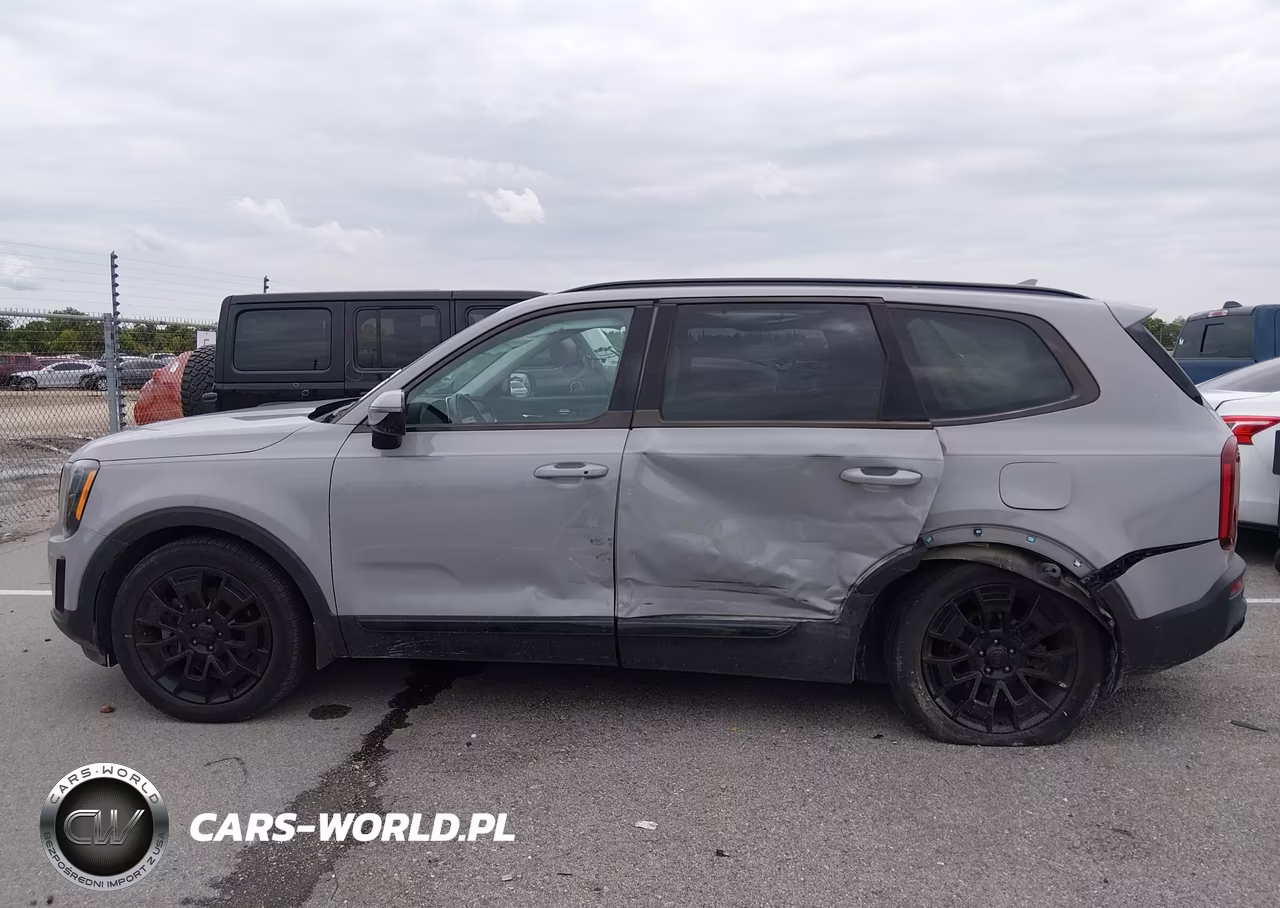 2021 Kia Telluride Sx VIN:5XYP5DHC6MG149776 - 14