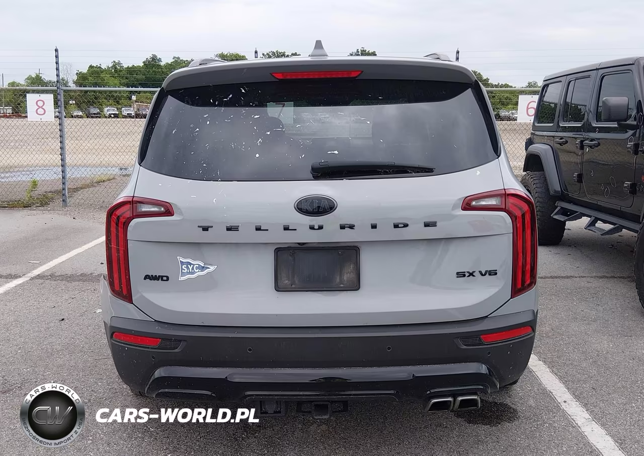 2021 Kia Telluride Sx VIN:5XYP5DHC6MG149776 - 16