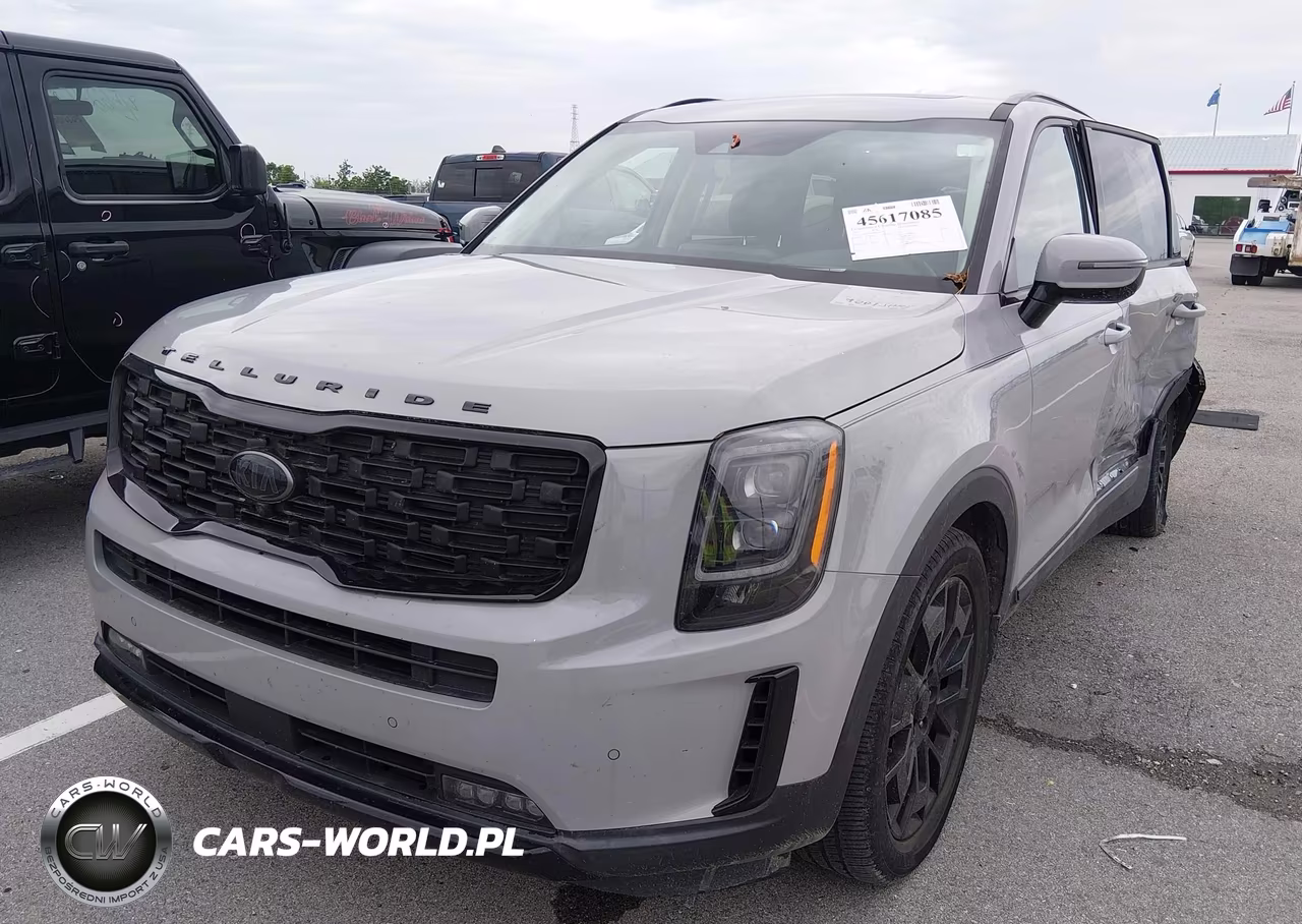 2021 Kia Telluride Sx VIN:5XYP5DHC6MG149776 - 2