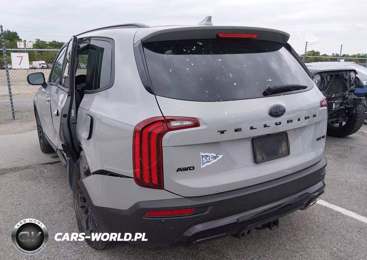 2021 Kia Telluride Sx VIN:5XYP5DHC6MG149776 - 3