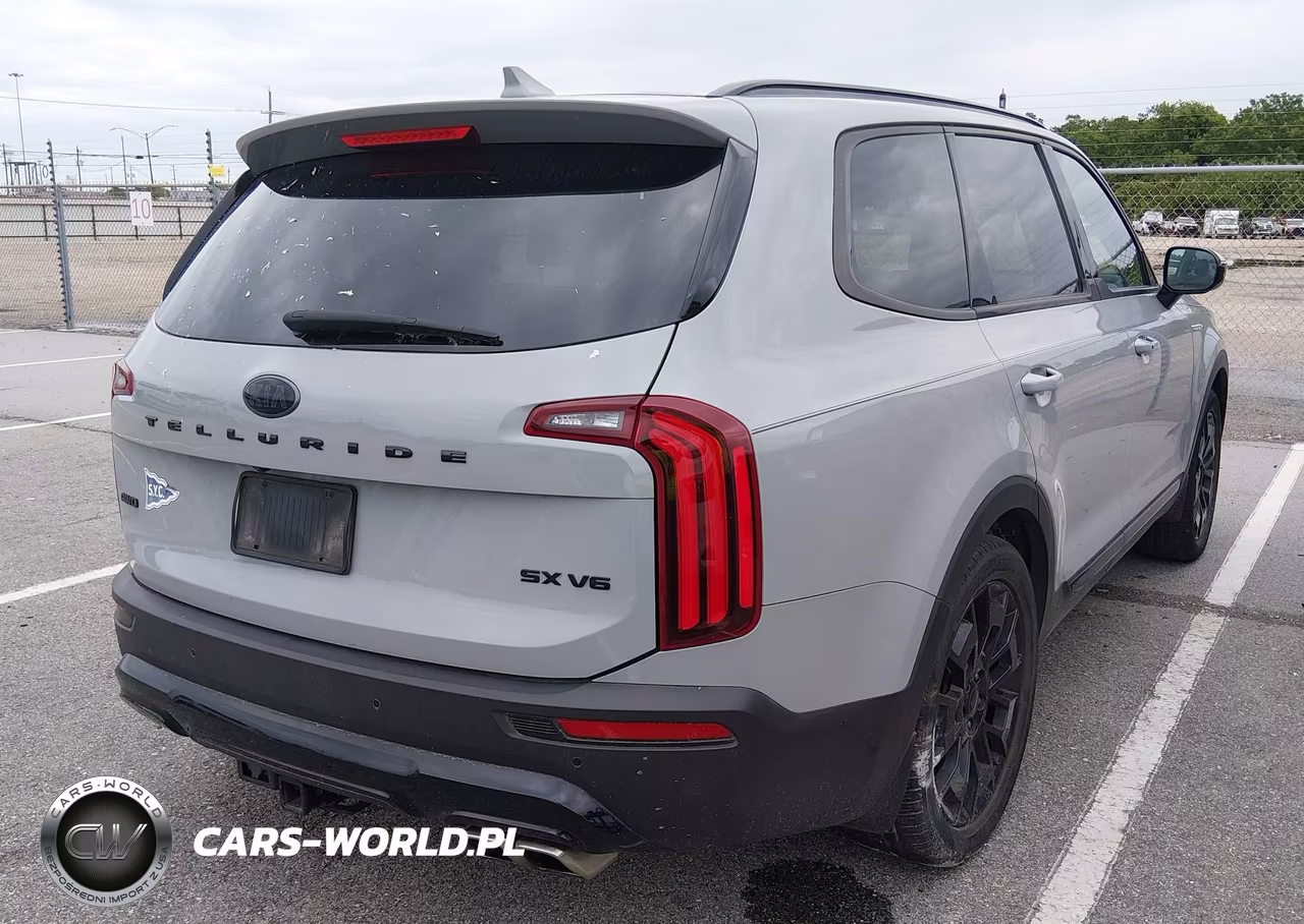 2021 Kia Telluride Sx VIN:5XYP5DHC6MG149776 - 4
