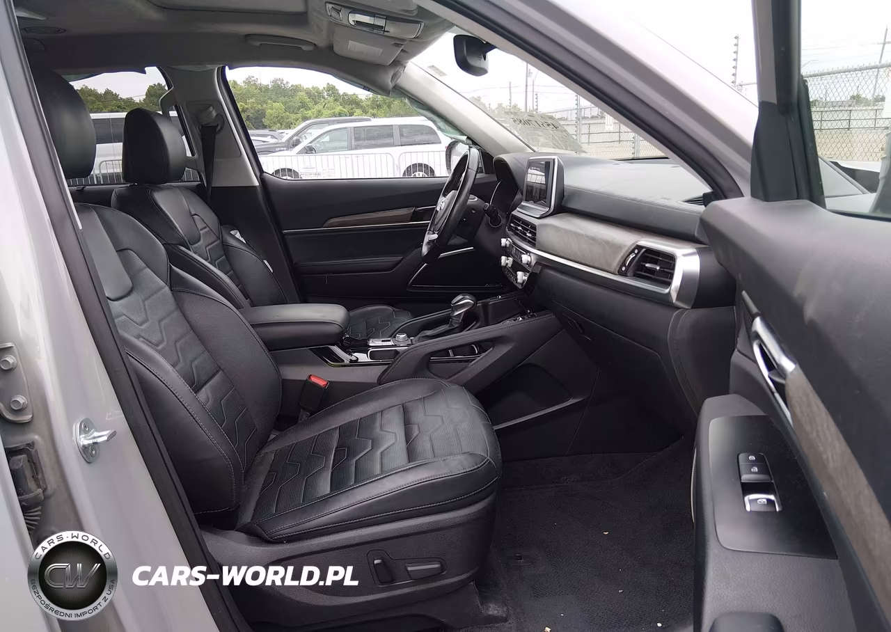 2021 Kia Telluride Sx VIN:5XYP5DHC6MG149776 - 5