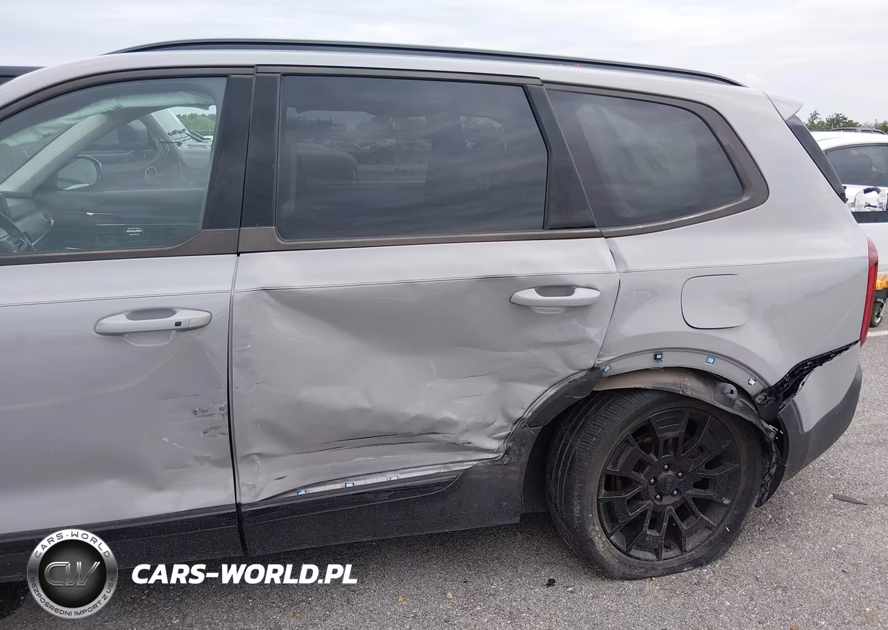 2021 Kia Telluride Sx VIN:5XYP5DHC6MG149776 - 6