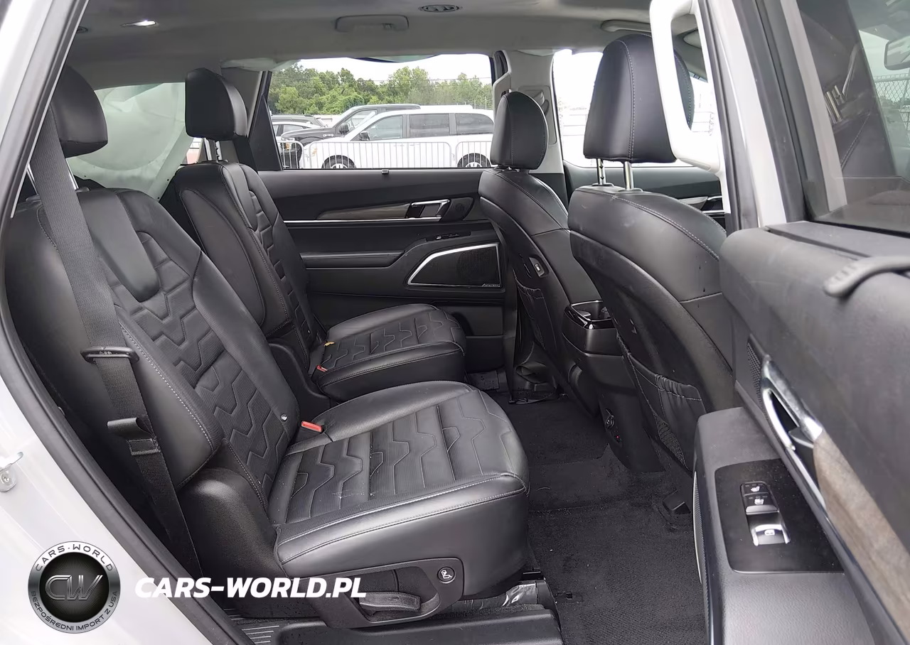 2021 Kia Telluride Sx VIN:5XYP5DHC6MG149776 - 8