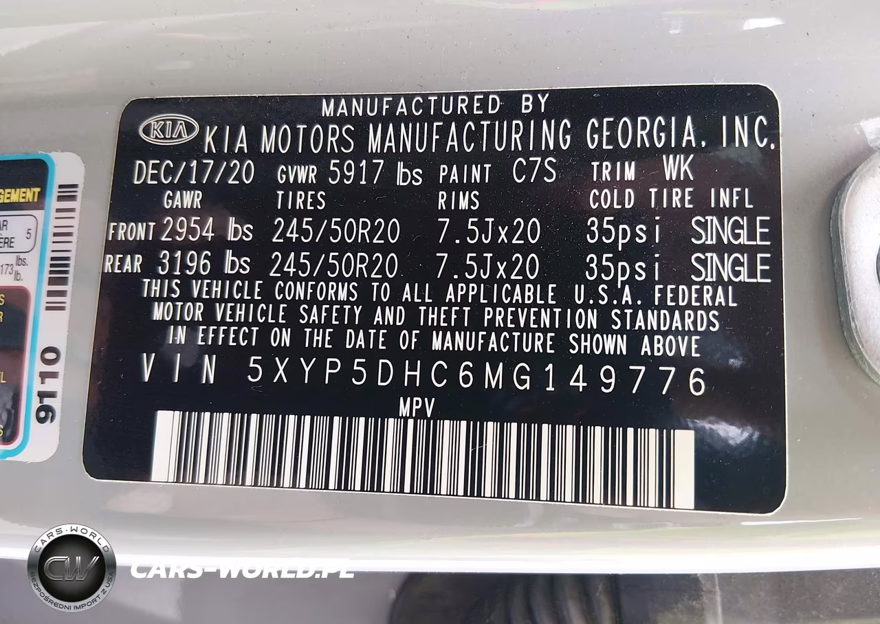2021 Kia Telluride Sx VIN:5XYP5DHC6MG149776 - 9