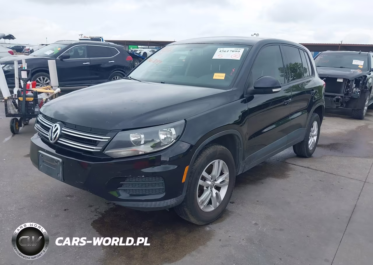 2013 Volkswagen Tiguan S VIN:WVGBV7AX9DW533137 - 2