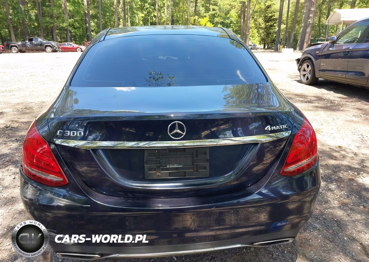 2016 Mercedes-Benz C 300 Luxury 4Matic VIN:55SWF4KB9GU143294 - 16
