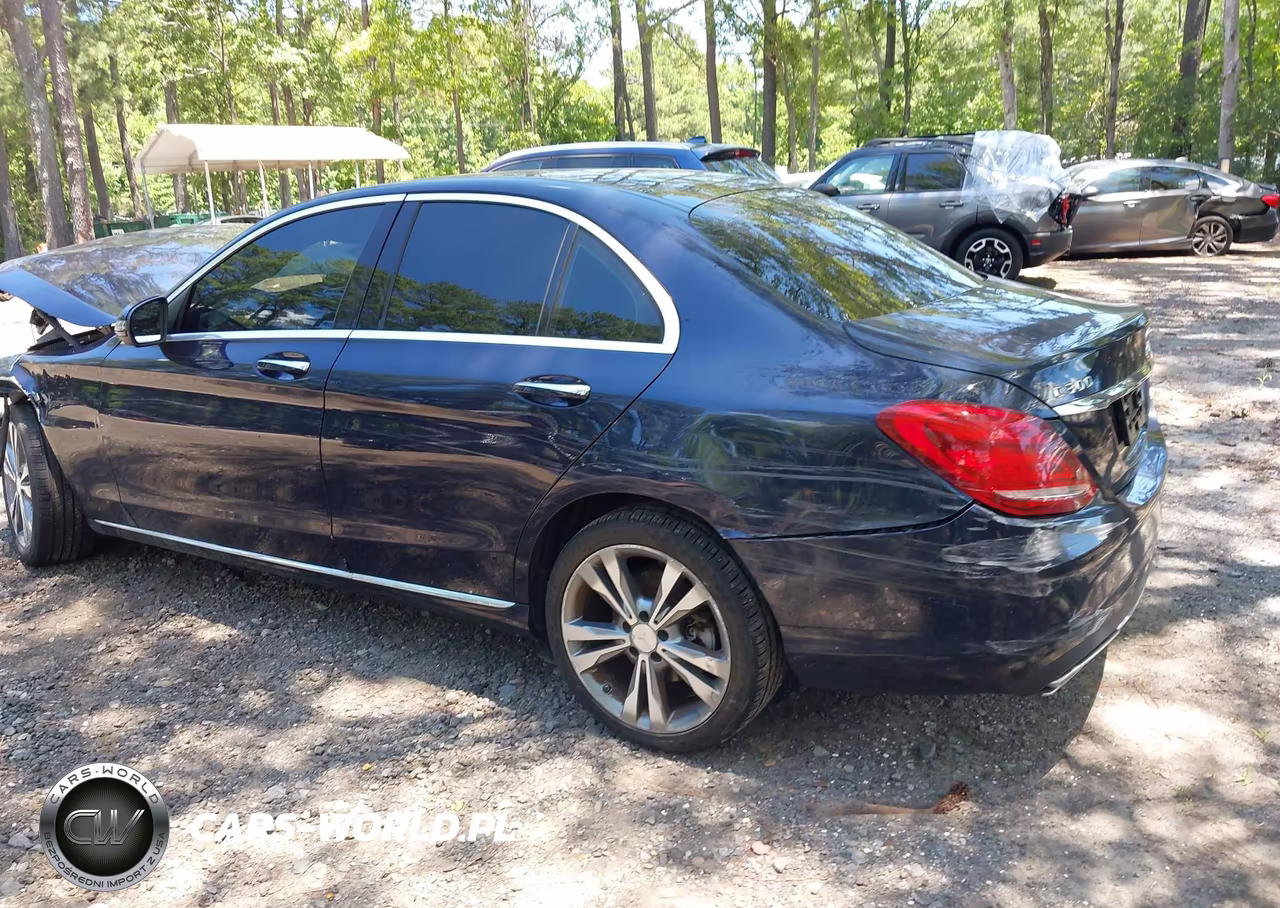 2016 Mercedes-Benz C 300 Luxury 4Matic VIN:55SWF4KB9GU143294 - 3
