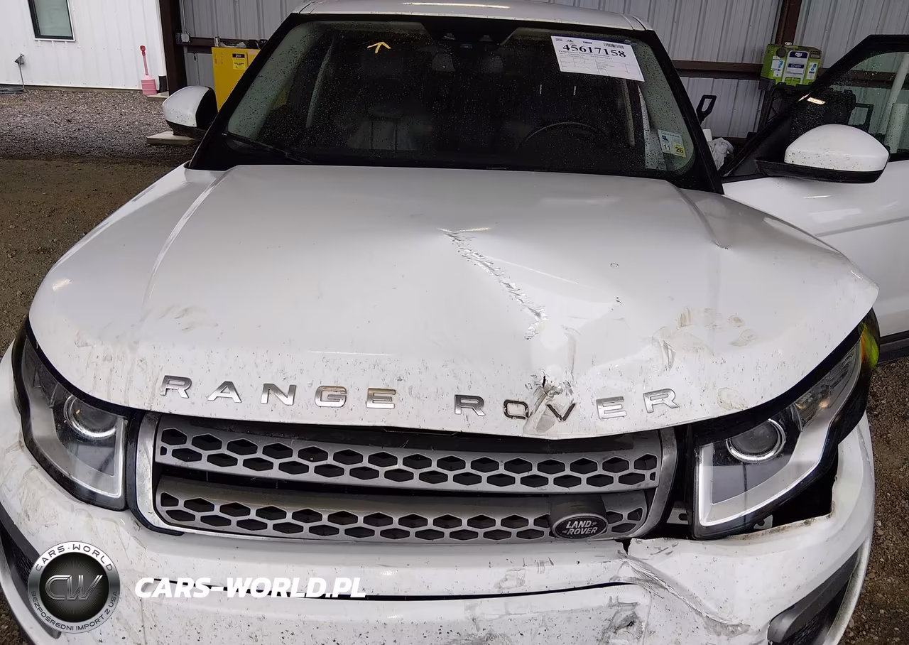 2017 Land Rover Range Rover Evoque Se-Se Premium VIN:SALVP2BG8HH204199 - 10