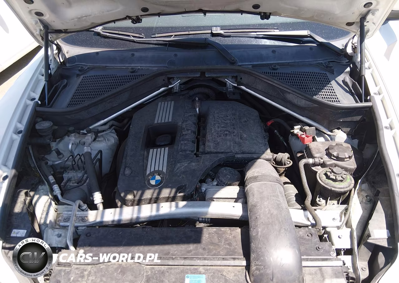 2010 BMW X6 xDrive35I VIN:5UXFG4C53AL226231 - 10