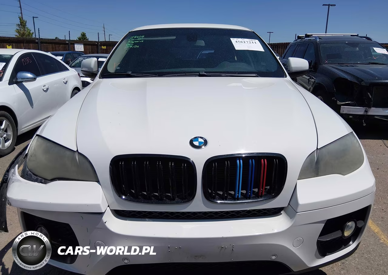2010 BMW X6 xDrive35I VIN:5UXFG4C53AL226231 - 12
