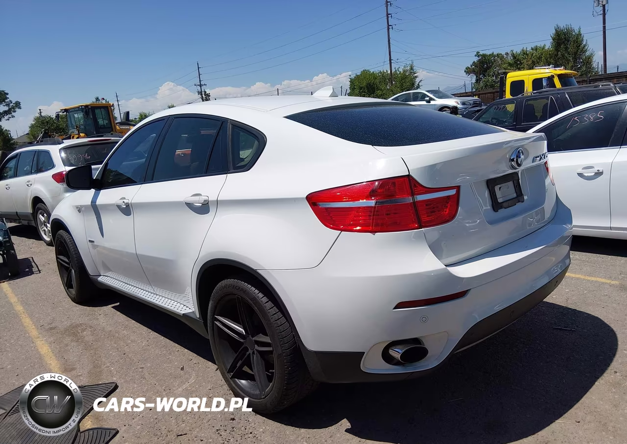 2010 BMW X6 xDrive35I VIN:5UXFG4C53AL226231 - 14