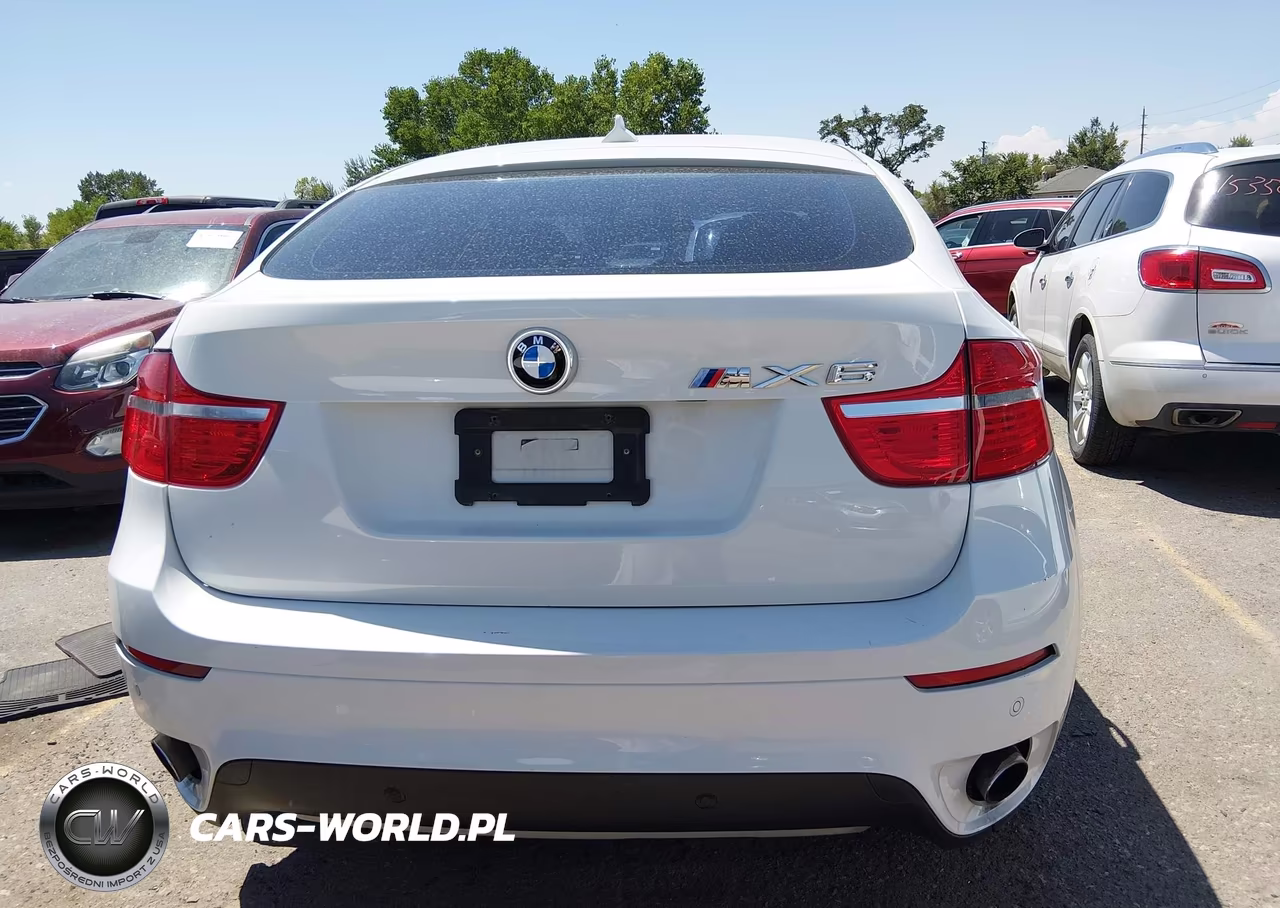 2010 BMW X6 xDrive35I VIN:5UXFG4C53AL226231 - 16