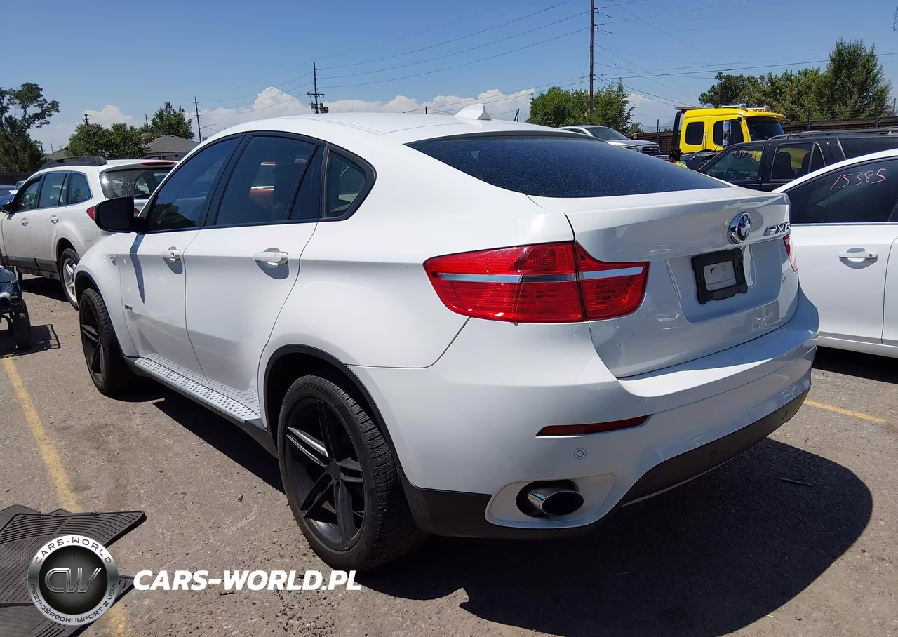 2010 BMW X6 xDrive35I VIN:5UXFG4C53AL226231 - 3
