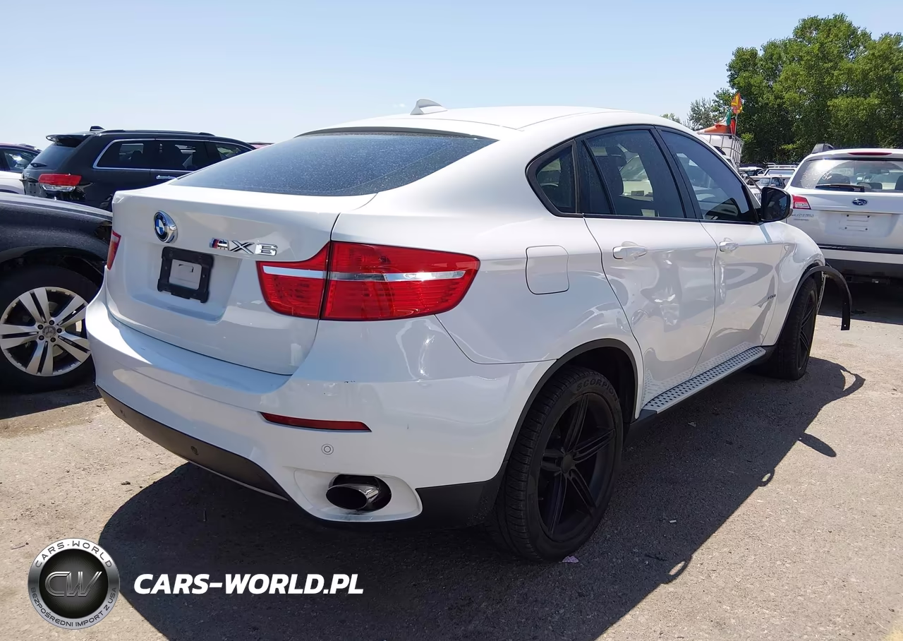 2010 BMW X6 xDrive35I VIN:5UXFG4C53AL226231 - 4
