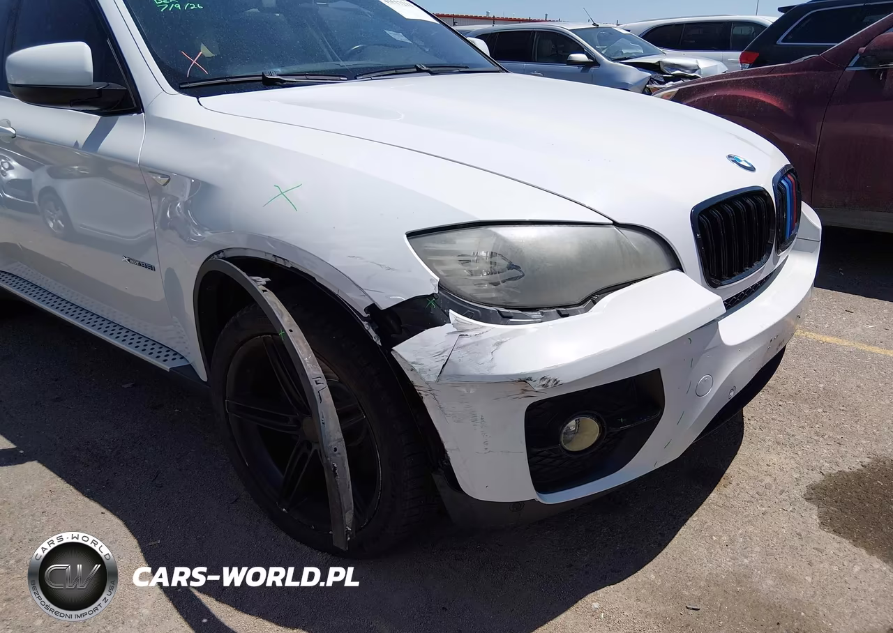 2010 BMW X6 xDrive35I VIN:5UXFG4C53AL226231 - 6