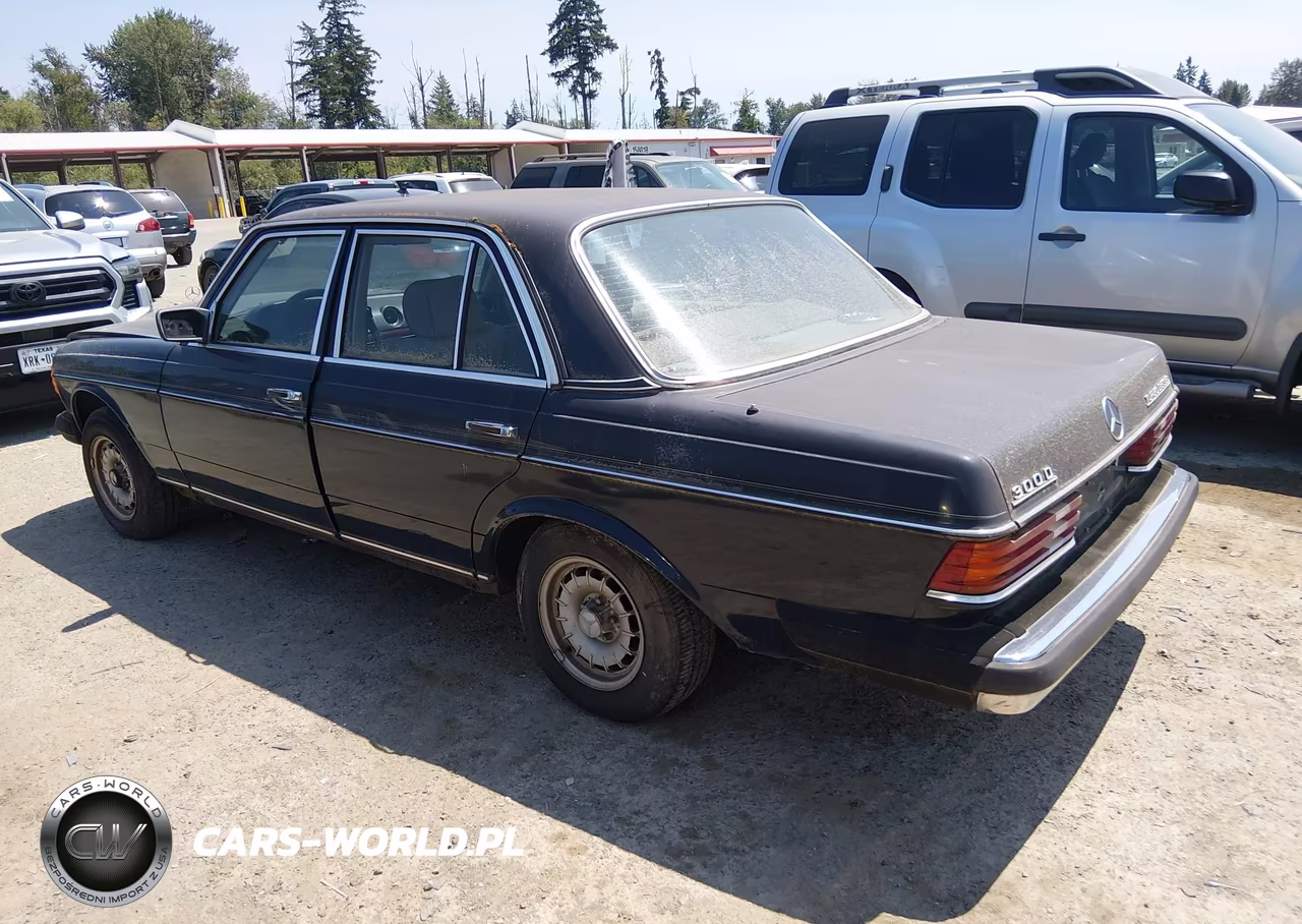 1985 Mercedes-Benz 300 Dt VIN:WDBAB33C1FA235711 - 3
