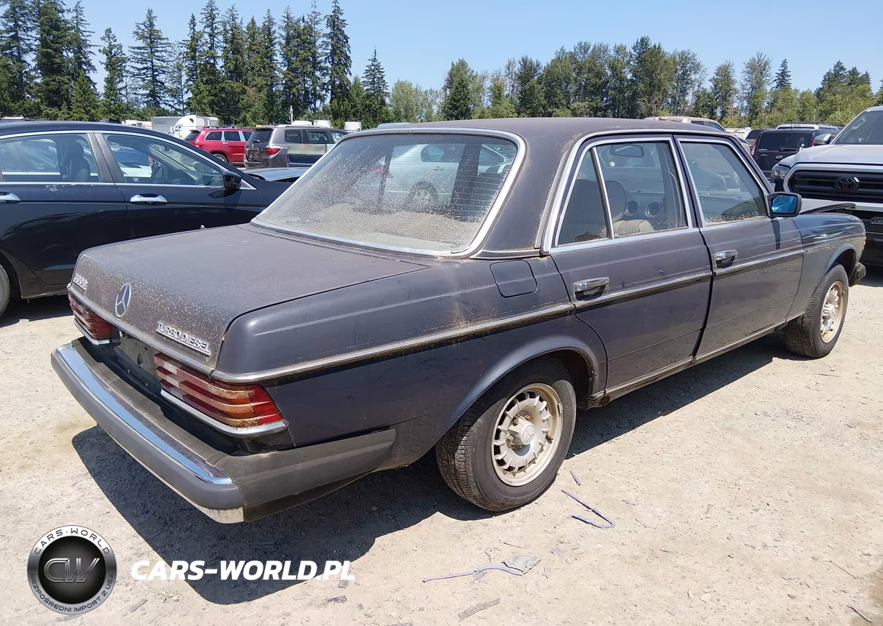 1985 Mercedes-Benz 300 Dt VIN:WDBAB33C1FA235711 - 4