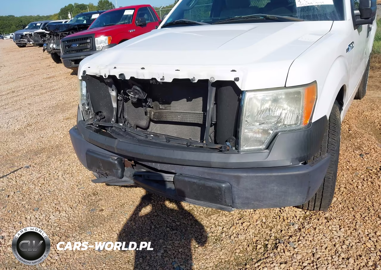 2011 Ford F-150 Xl VIN:1FTMF1CM5BFC30461 - 6