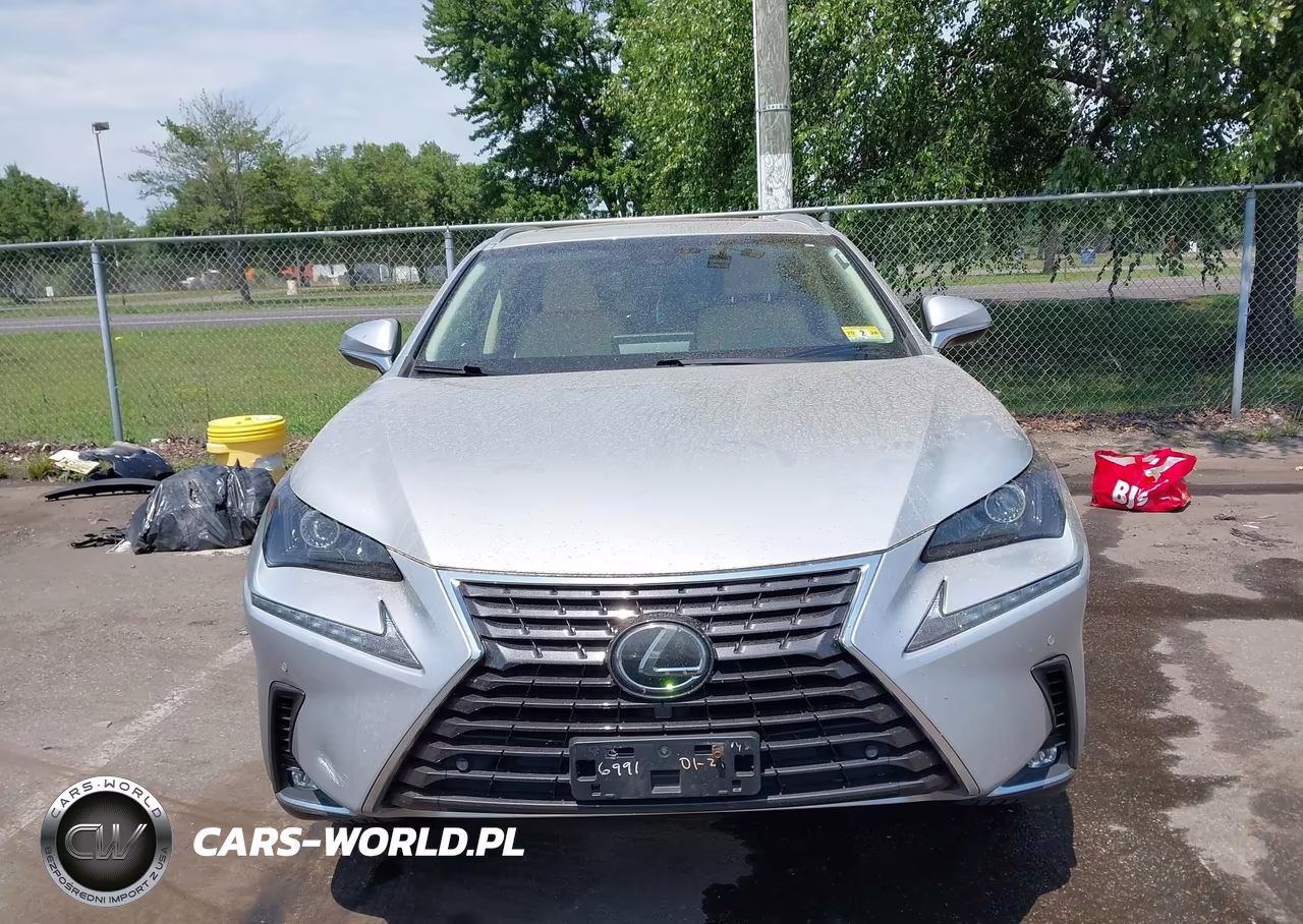 2019 Lexus Nx 300 VIN:JTJBARBZ8K2196991 - 12