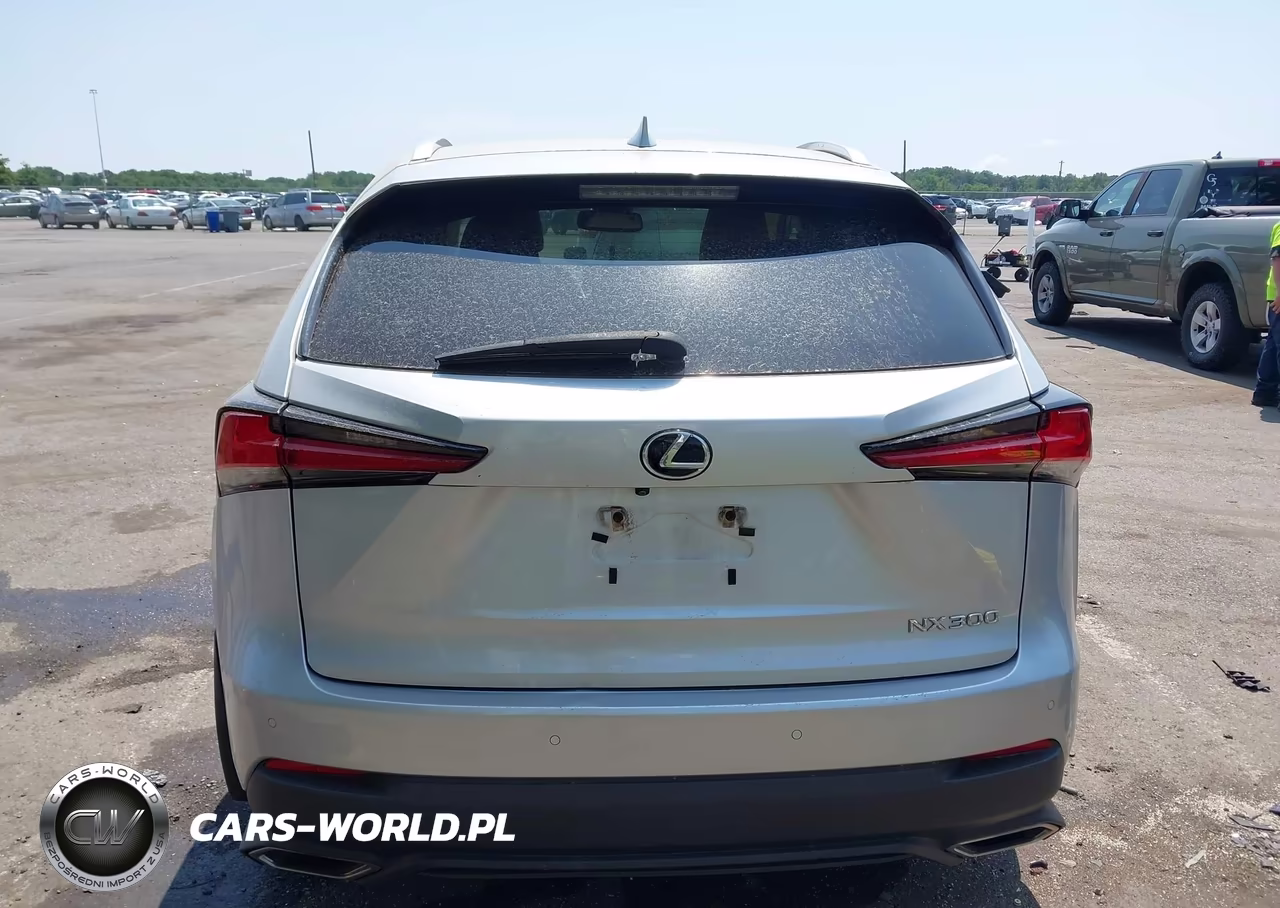2019 Lexus Nx 300 VIN:JTJBARBZ8K2196991 - 16