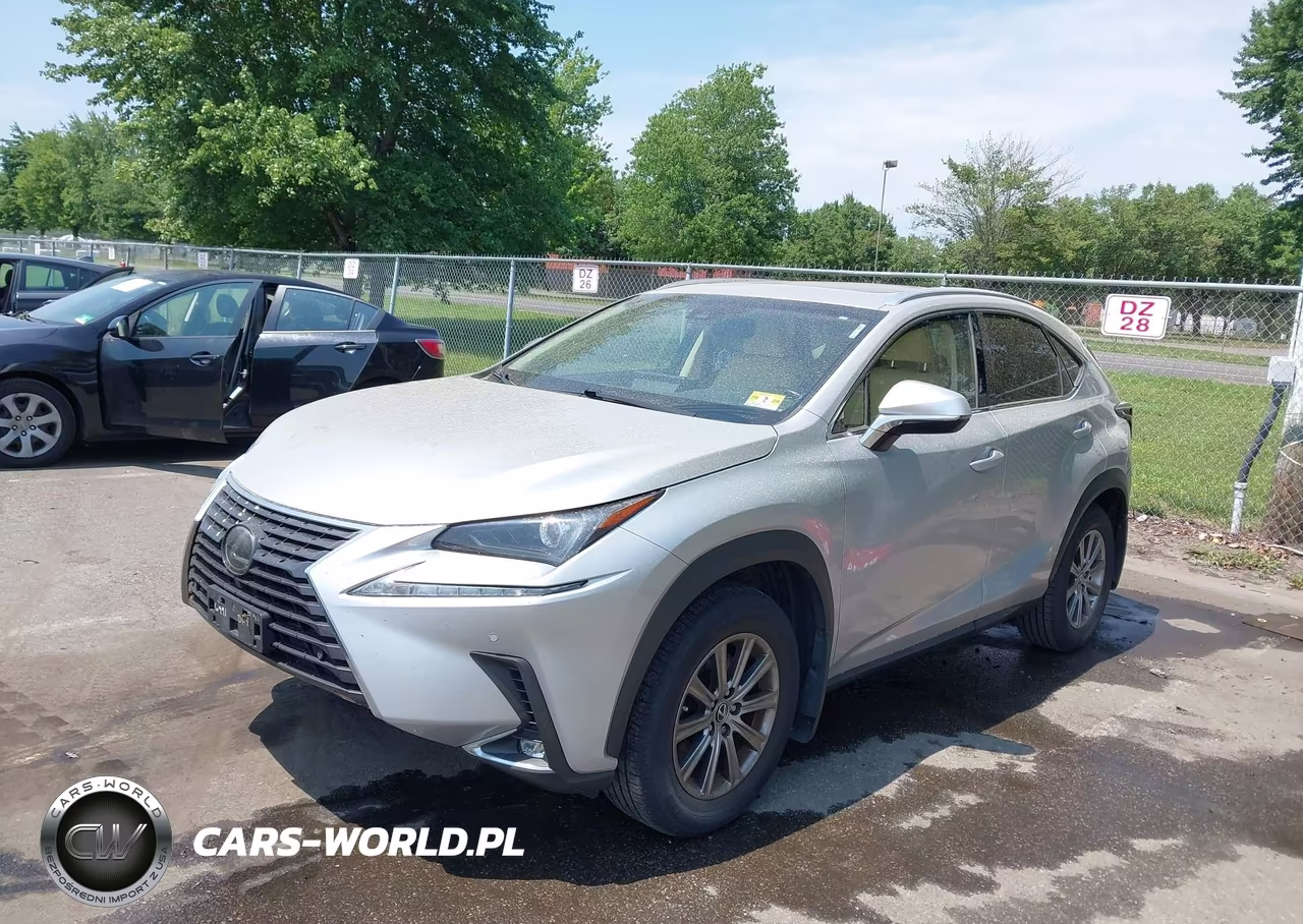 2019 Lexus Nx 300 VIN:JTJBARBZ8K2196991 - 2