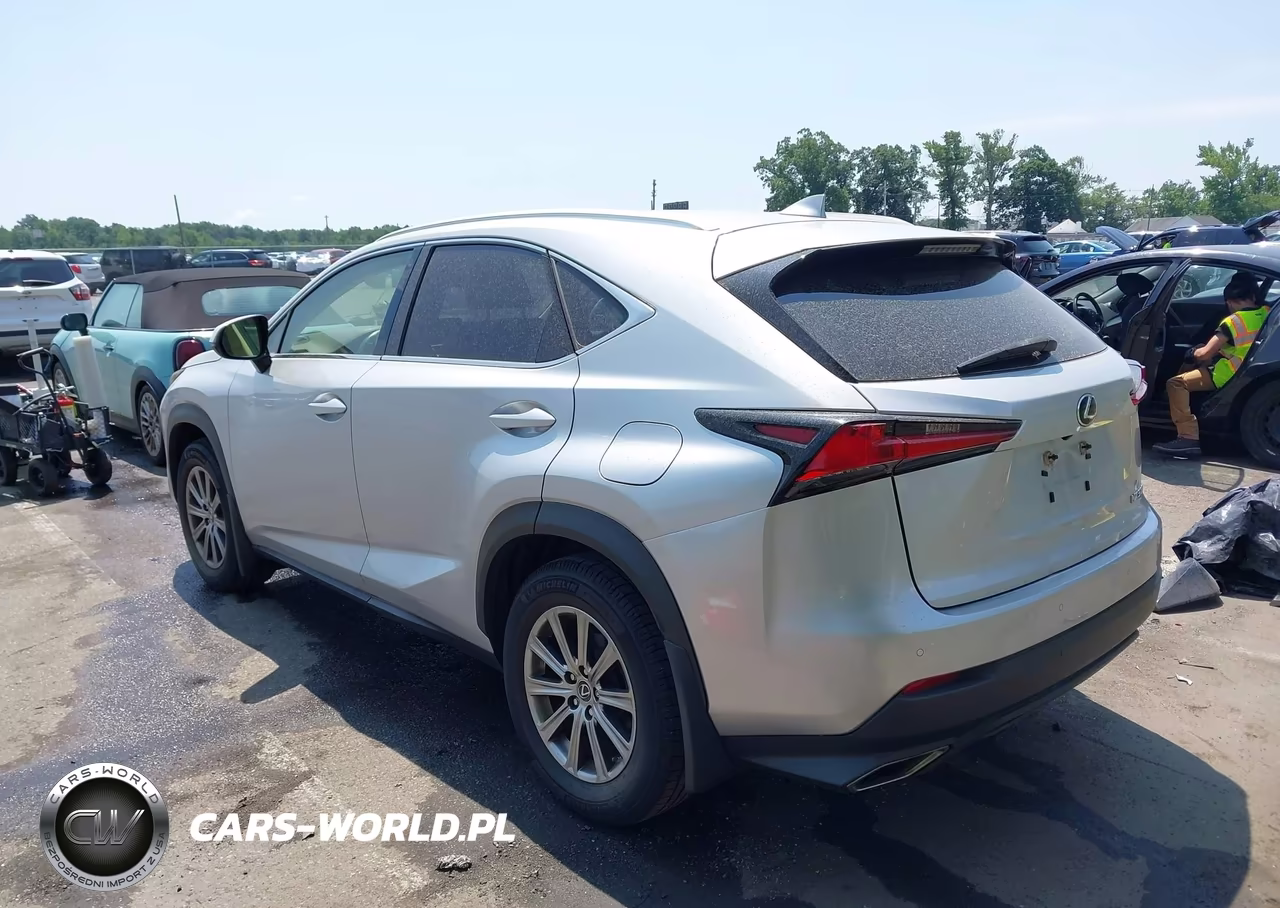 2019 Lexus Nx 300 VIN:JTJBARBZ8K2196991 - 3