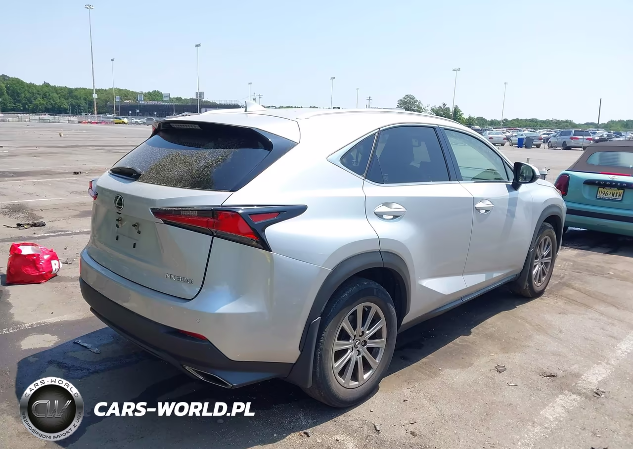 2019 Lexus Nx 300 VIN:JTJBARBZ8K2196991 - 4