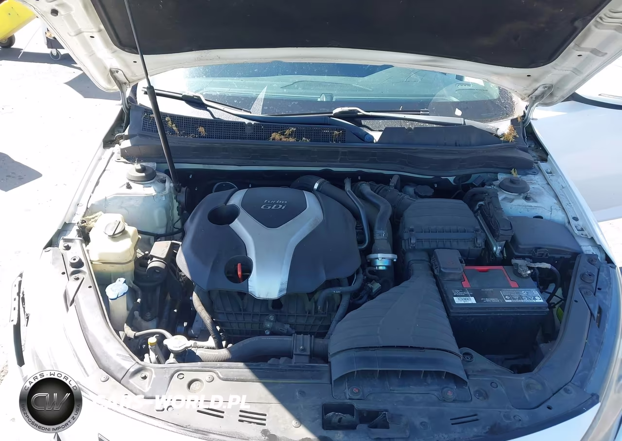 2013 Kia Optima Sx VIN:5XXGR4A65DG107256 - 10