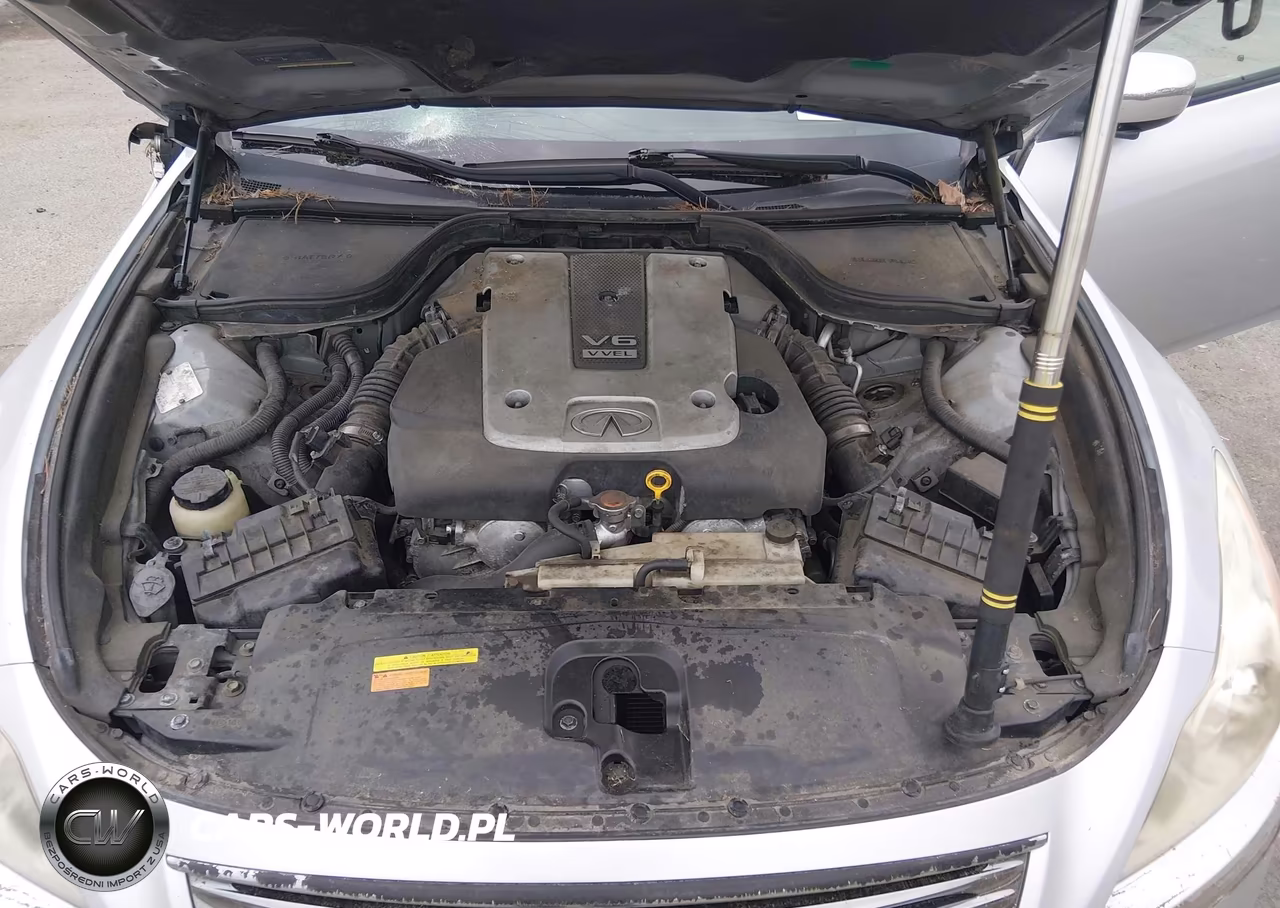 2008 Infiniti G37 Journey VIN:JNKCV64E78M113938 - 10