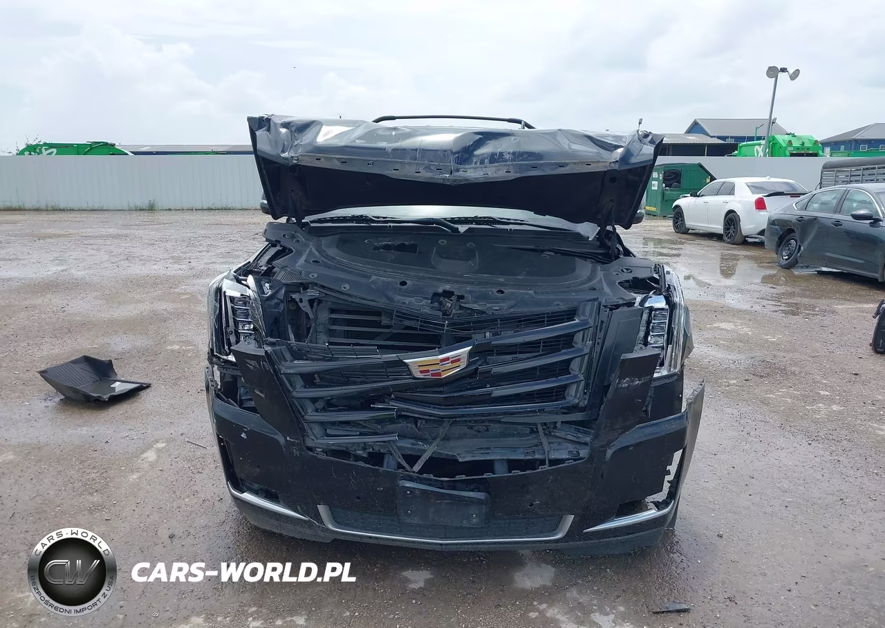 2016 Cadillac Escalade Esv Luxury Collection VIN:1GYS4HKJ9GR331936 - 12