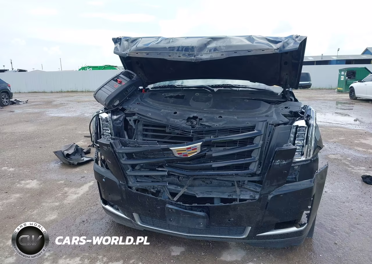 2016 Cadillac Escalade Esv Luxury Collection VIN:1GYS4HKJ9GR331936 - 6