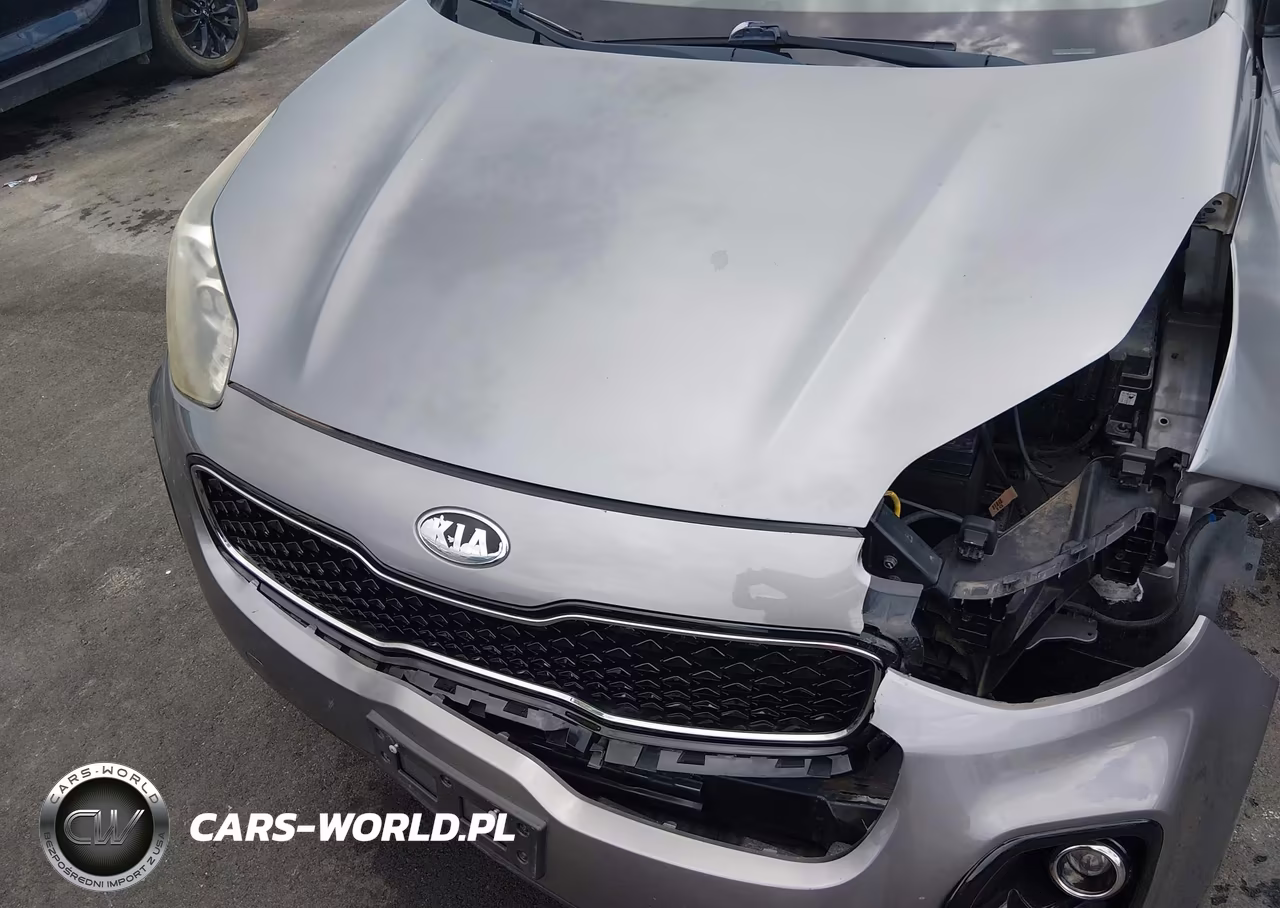 2017 Kia Sportage Lx VIN:KNDPMCAC6H7264386 - 19
