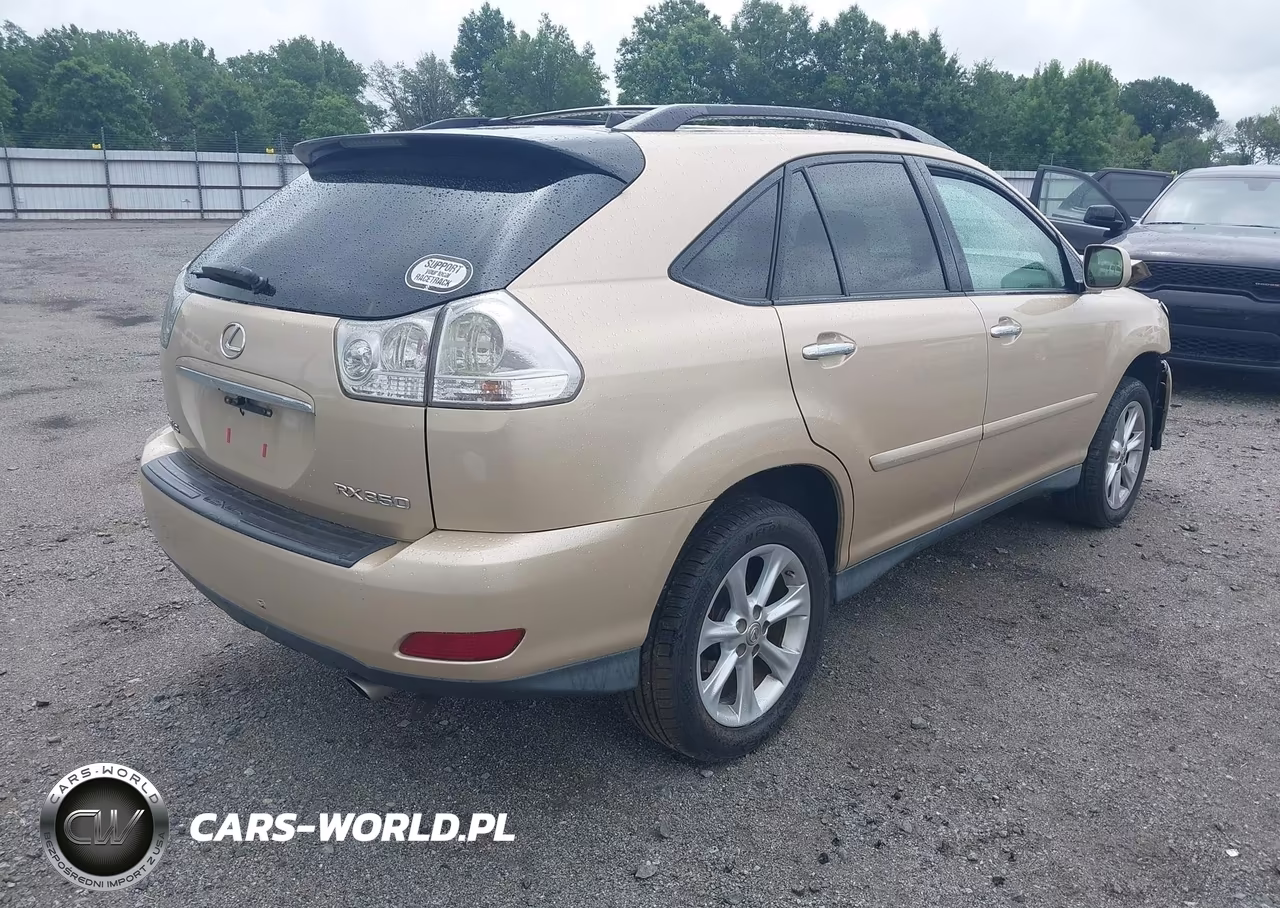 2009 Lexus Rx 350 VIN:2T2HK31U89C121177 - 4