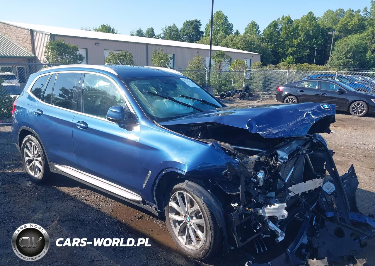 2019 BMW X3 xDrive30I – zdjęcie 1 z 17