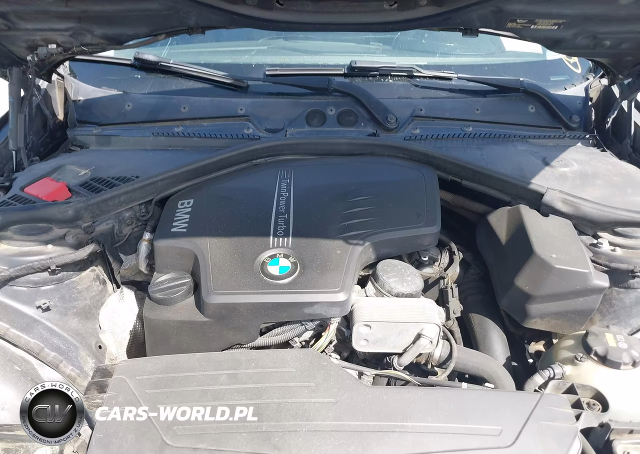 2015 BMW 228I xDrive VIN:WBA1F7C52FVX95466 - 10